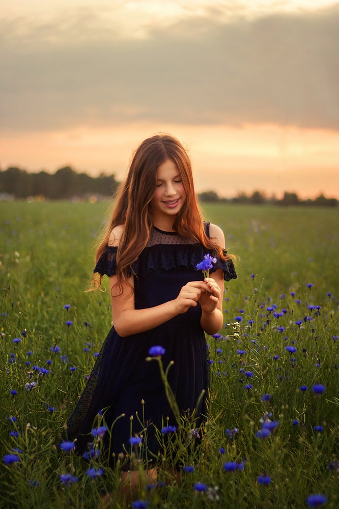 В васильковом поле