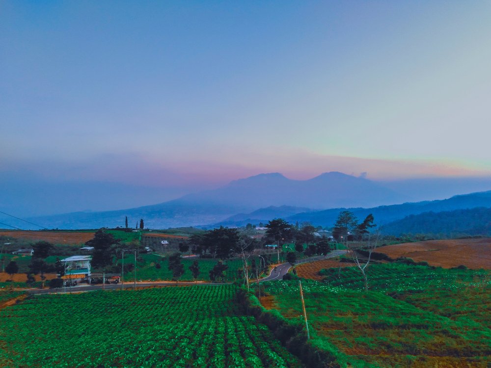 Photograph by Nato Nawipa