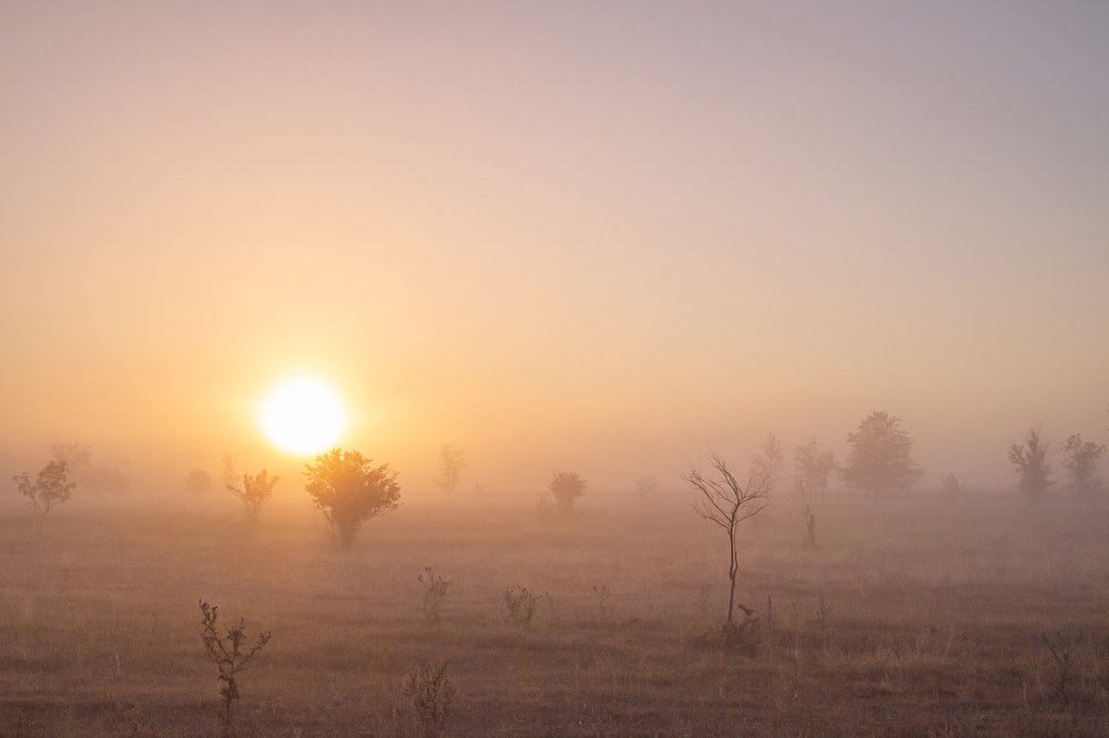 Photograph by Александр Малышев