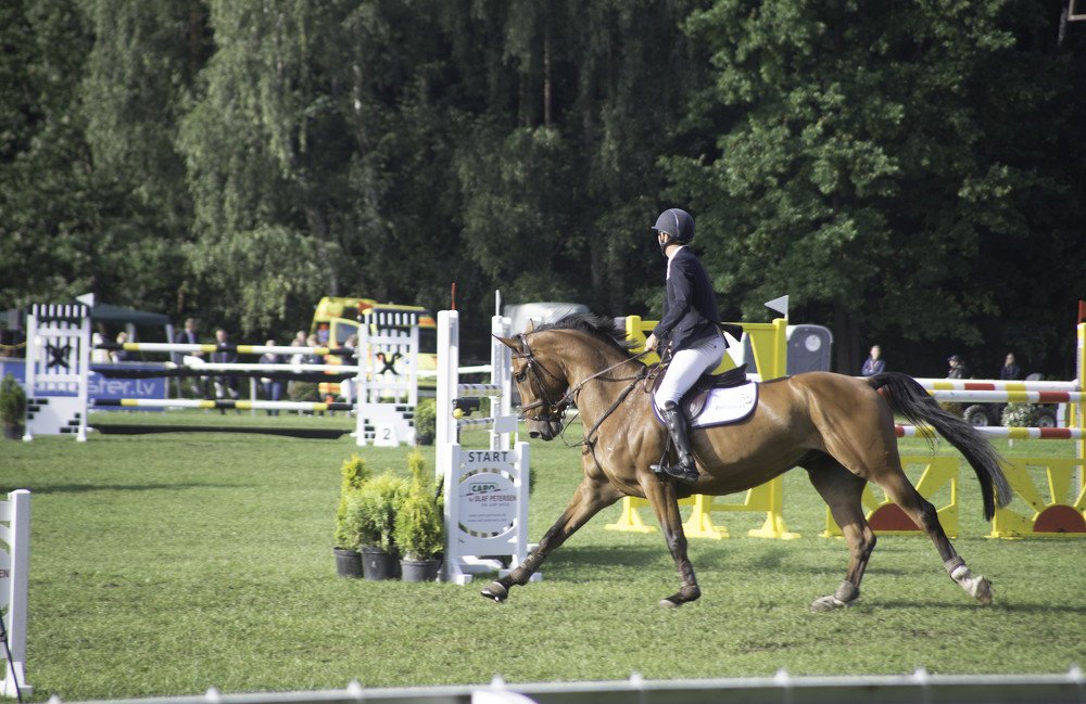 Фотография автора Aлексей Игнатьев