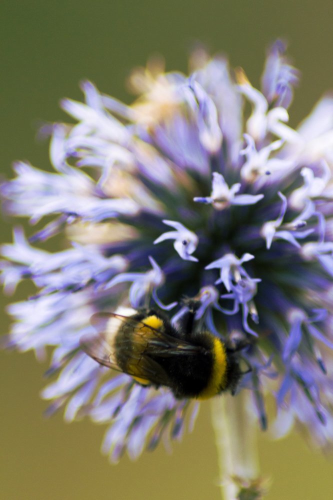 Photograph by Артем Карлов