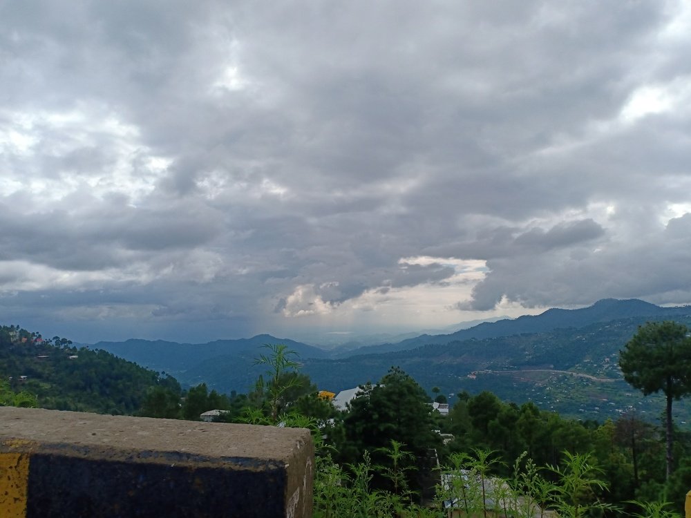 Photo #4945675