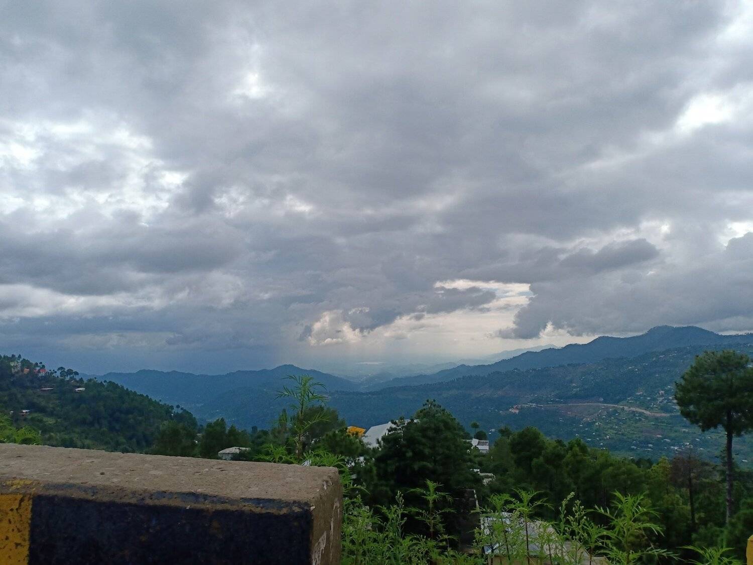 Photo #4945675