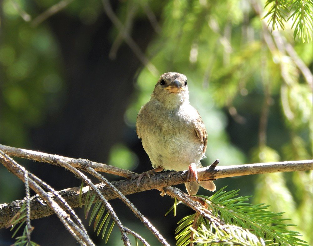 Photograph by Ирина Самойленко