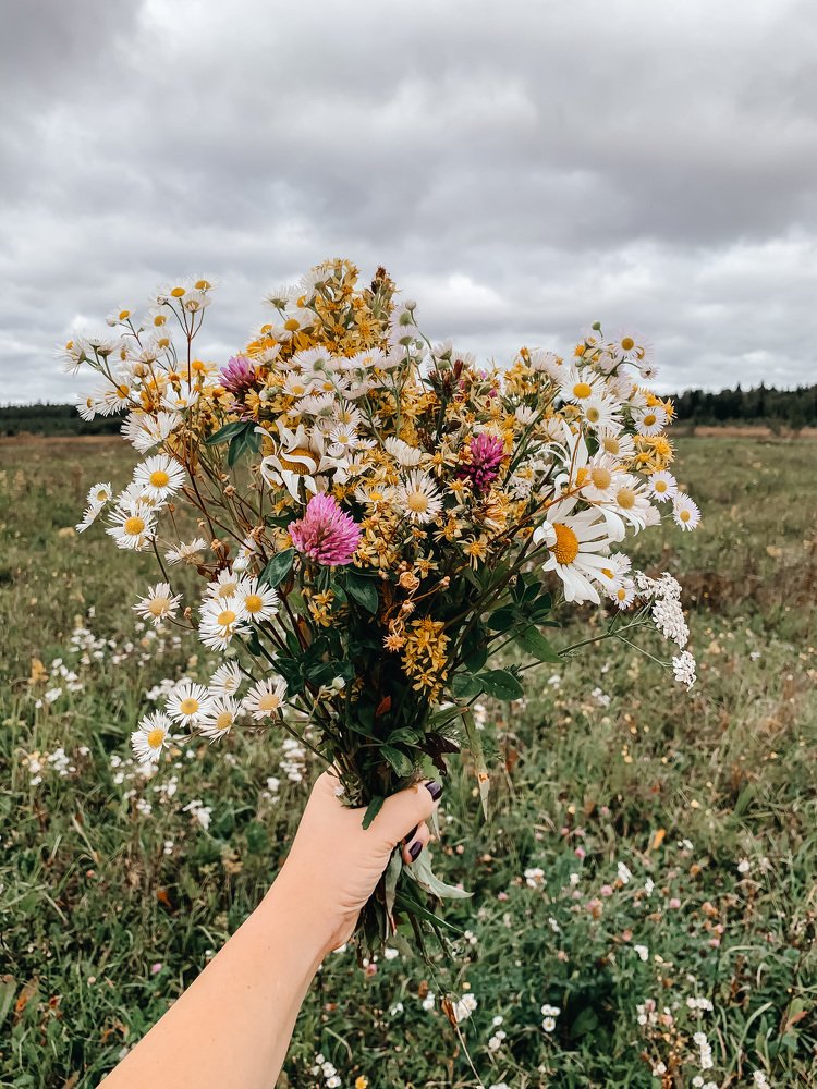 Photograph by Екатерина Кайнова
