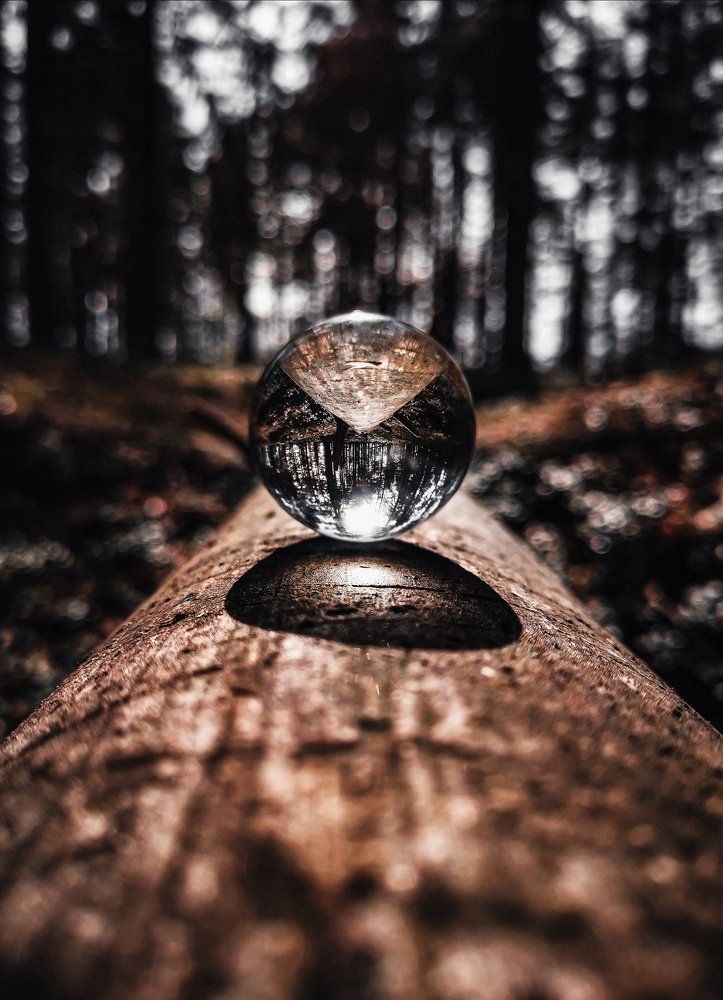 Отражение природы