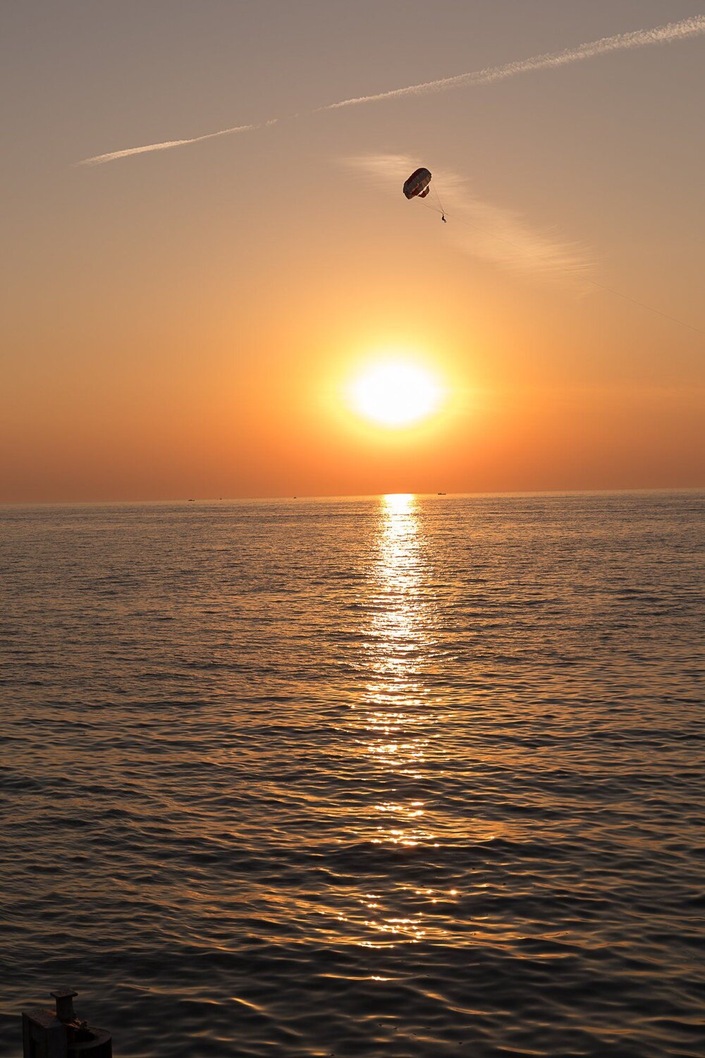 Photo #4945947