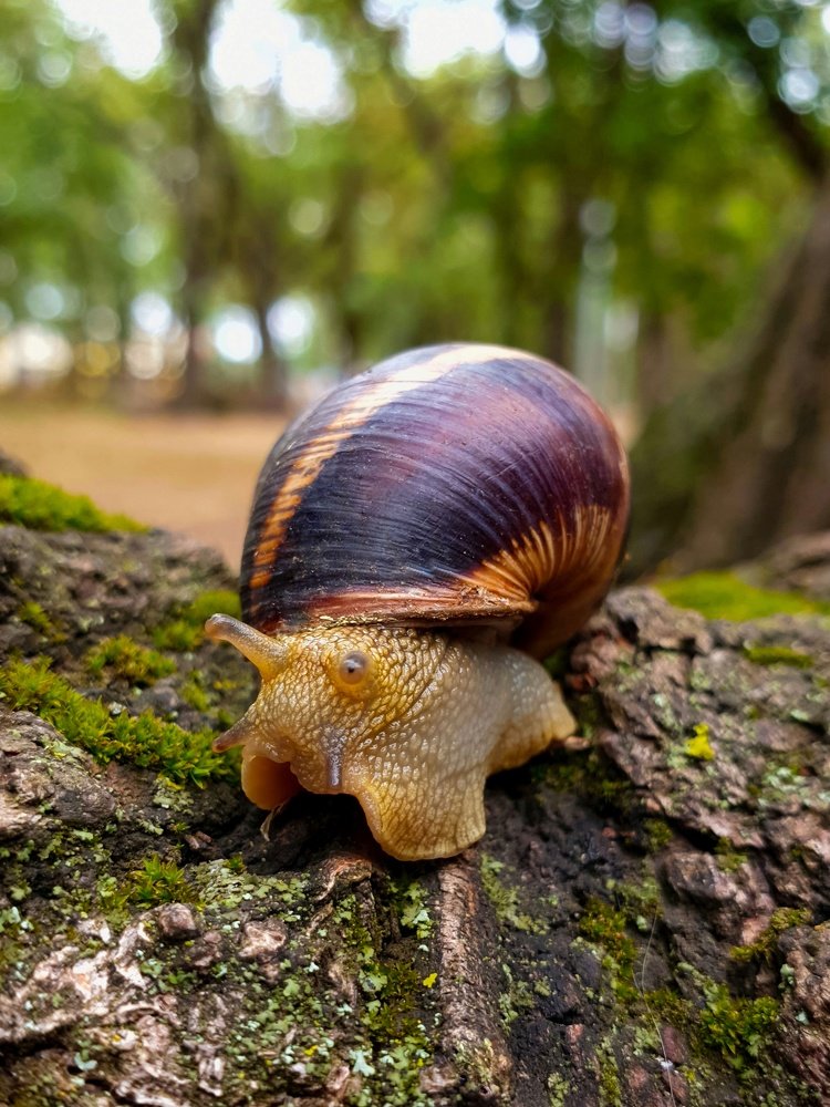 Photograph by Лариса Когтева