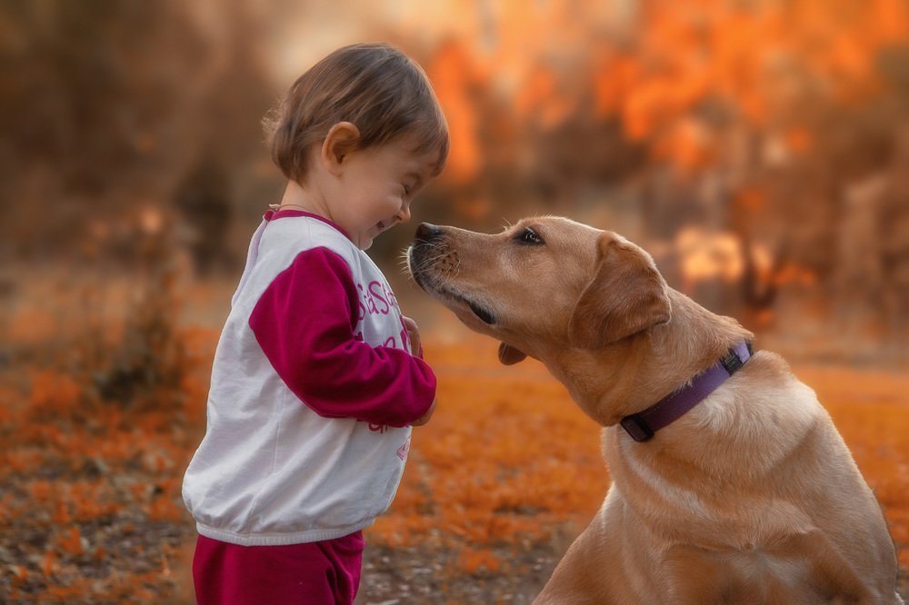 Photograph by Олег Рошковой