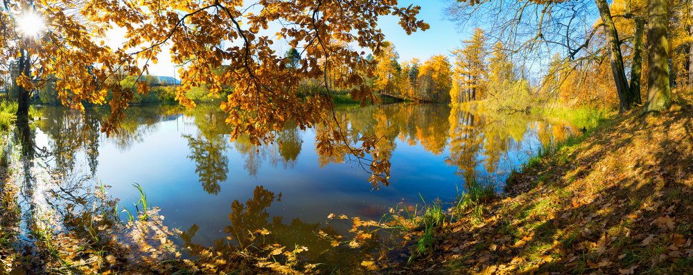 Живописный осенний пейзаж.