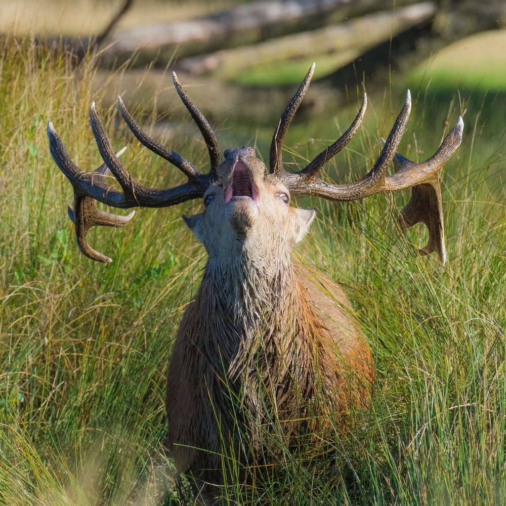 Фотография автора Anandhu M
