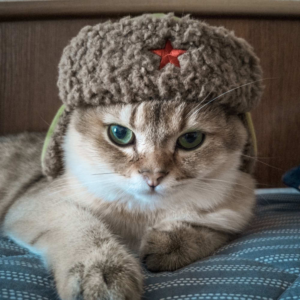 Фотография автора Валентин Ефимов