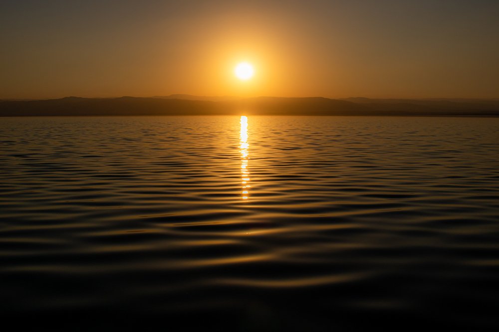 Photograph by Ali Abu Ras