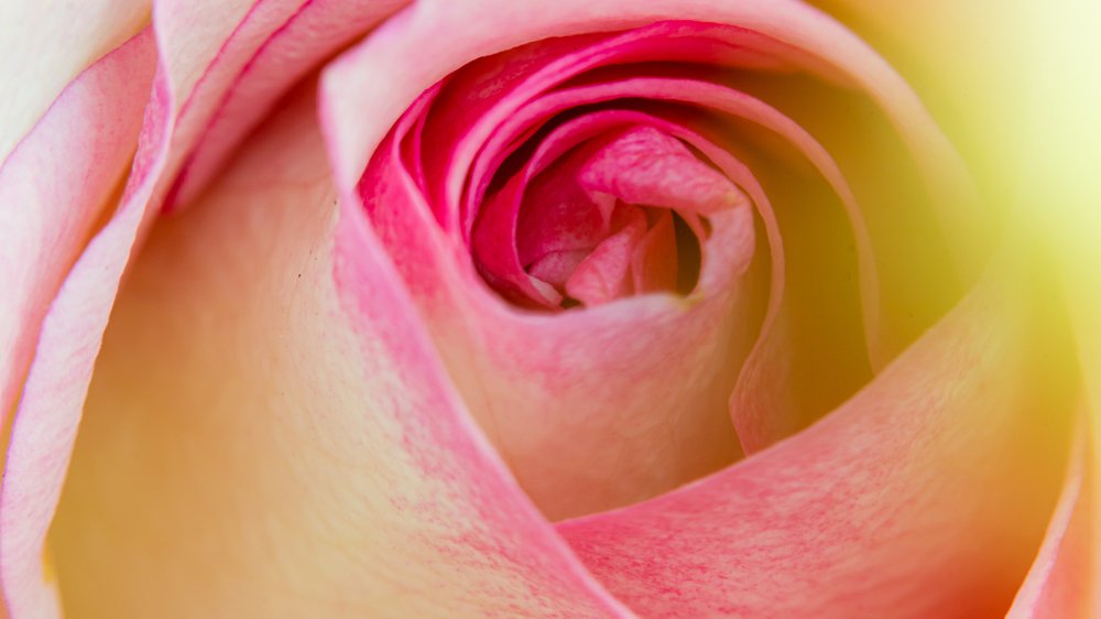 Photograph by Ali Abu Ras