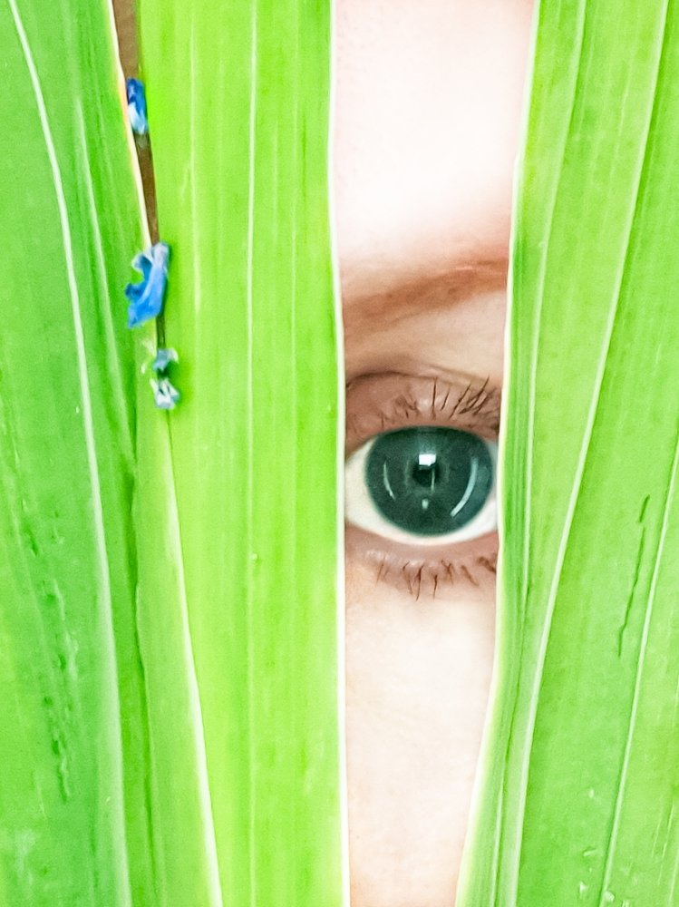 Photograph by Schewzow Lana