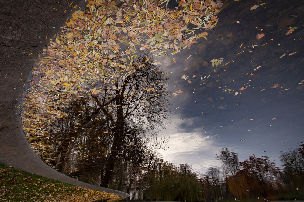 Photograph by Кондратюк Андрей