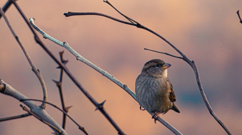 Photograph by Roberto Luigi