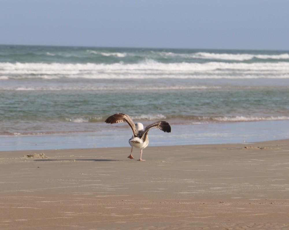 Photograph by Маргарита Венсил.