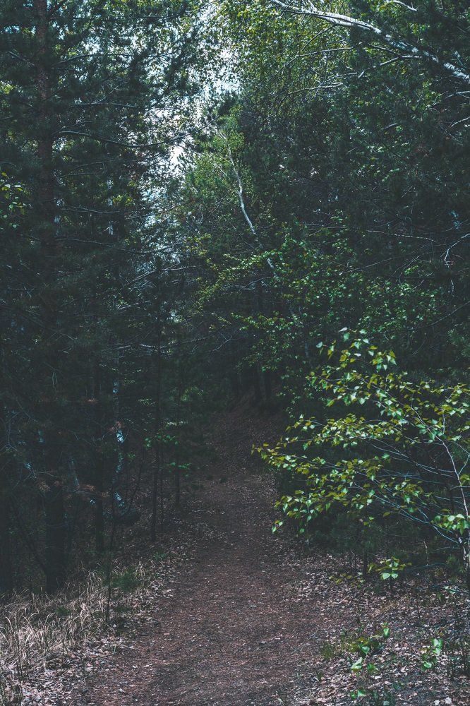 Тропа к берегу Байкала