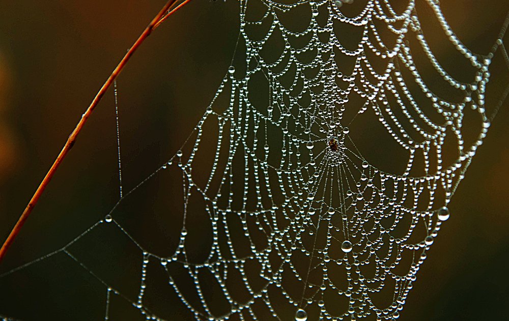 Photograph by Ольга Цветкова