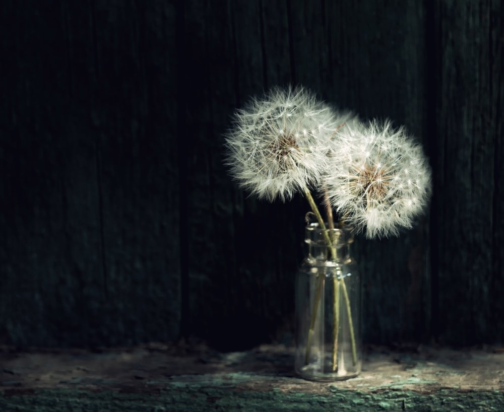 Photograph by Екатерина Потанина