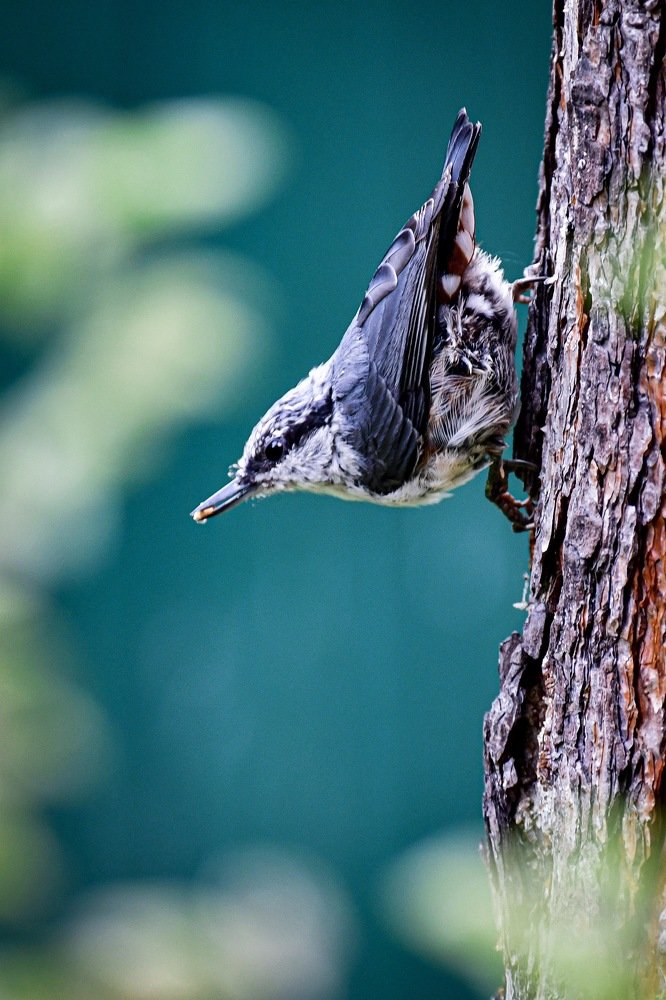 Photograph by Анна Белка