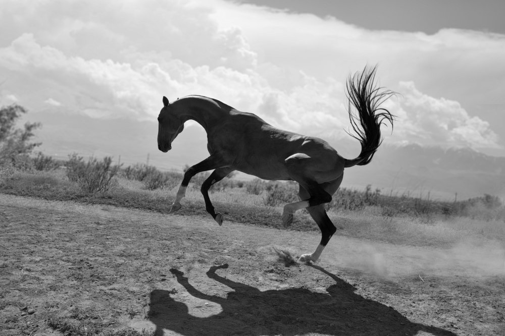 Photograph by Лия Макари