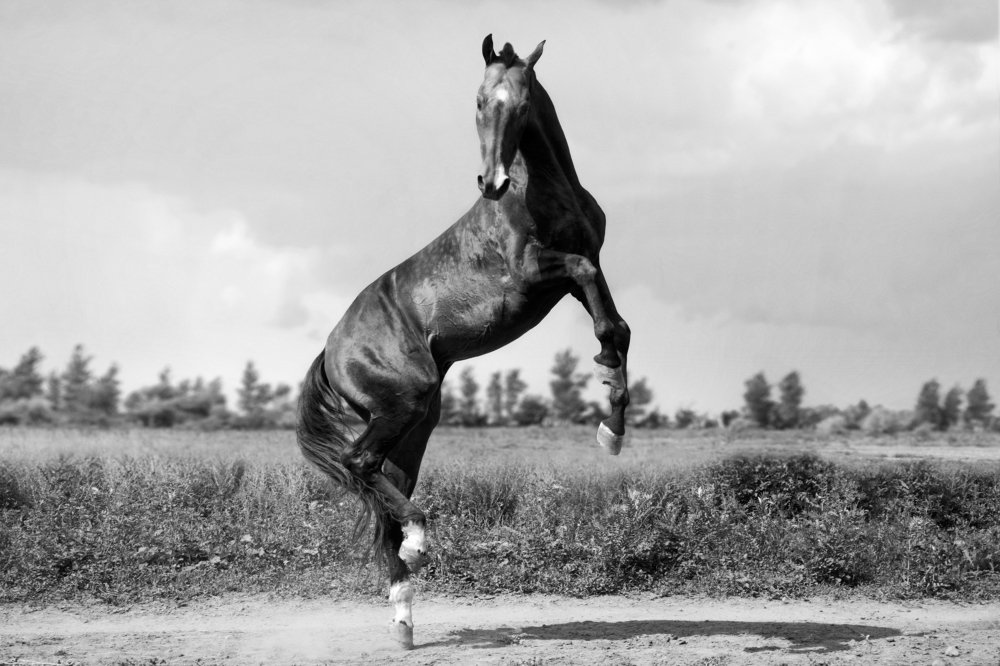 Photograph by Лия Макари