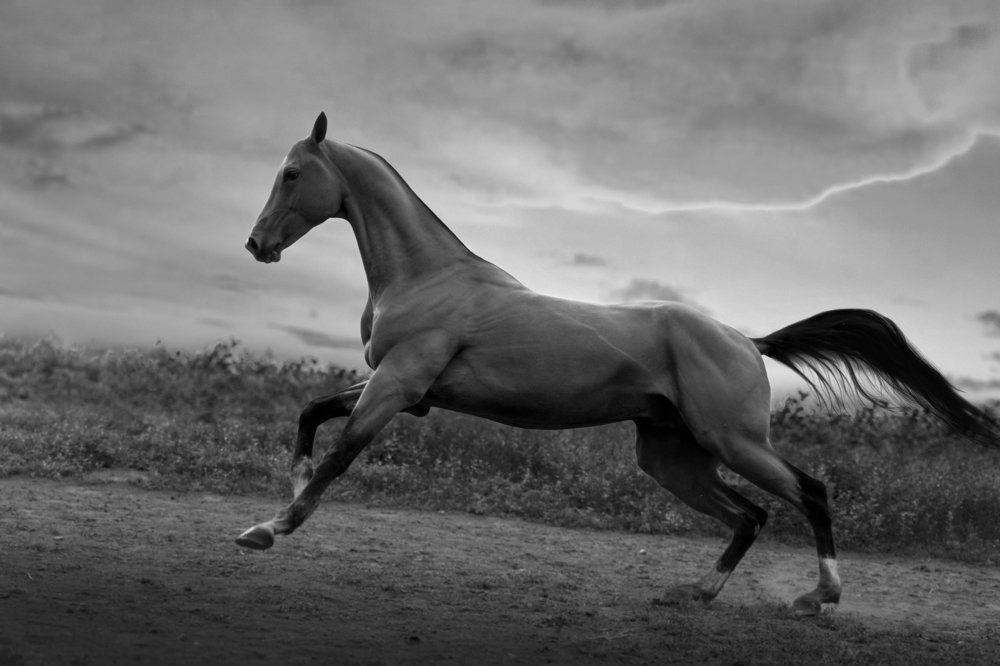 Photograph by Лия Макари