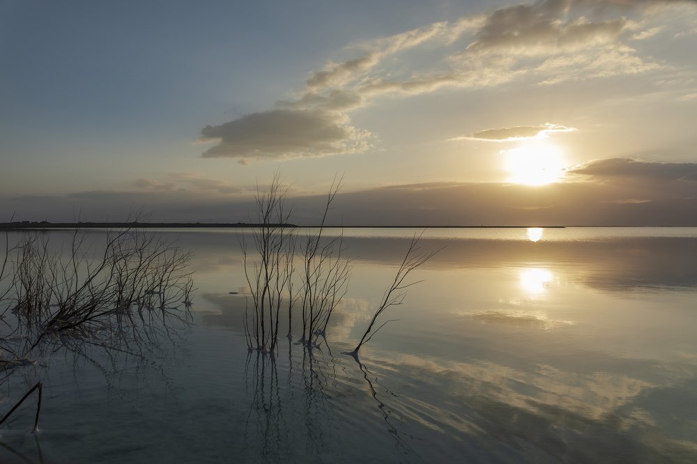 Photograph by klara Neikov