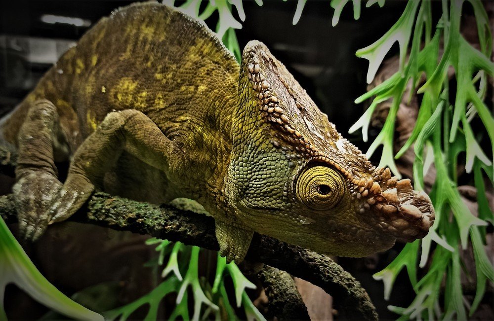 Photograph by Сергей Лобозов