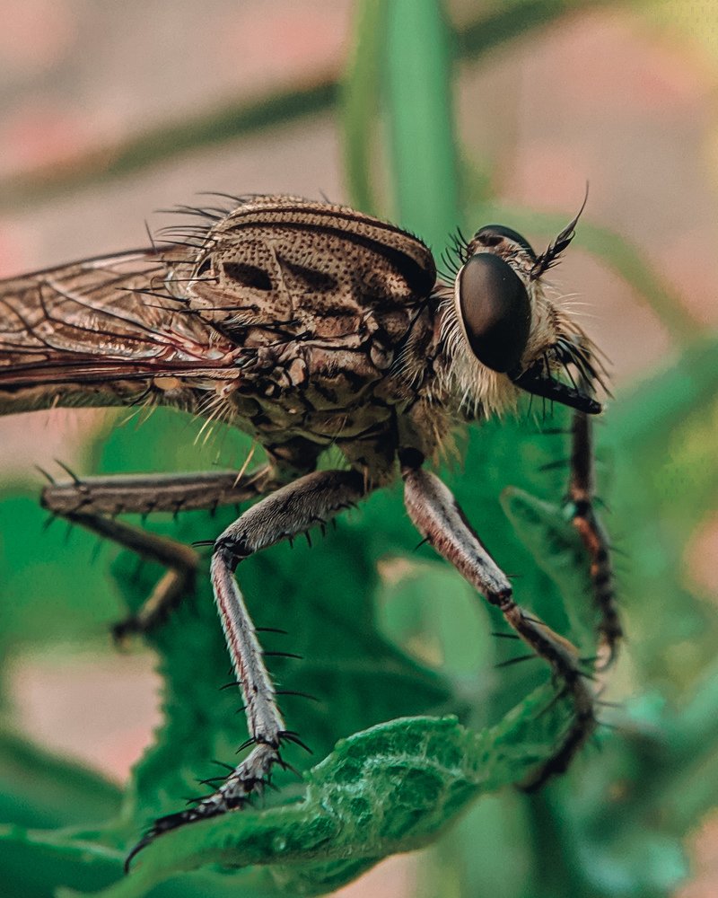 Photograph by Raj Priyanshu