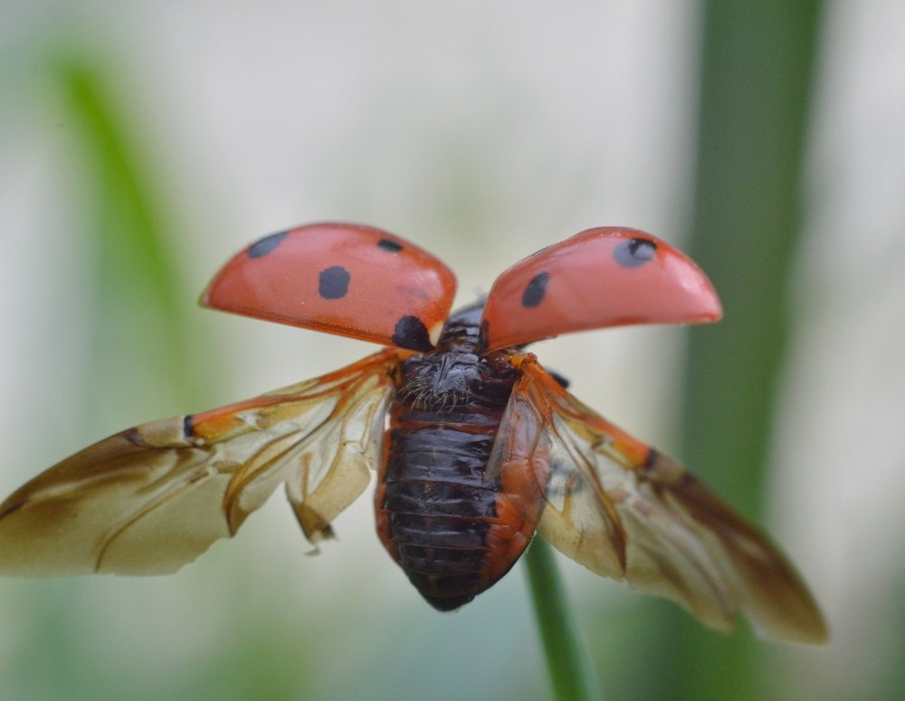 Photograph by Константин Бокарев