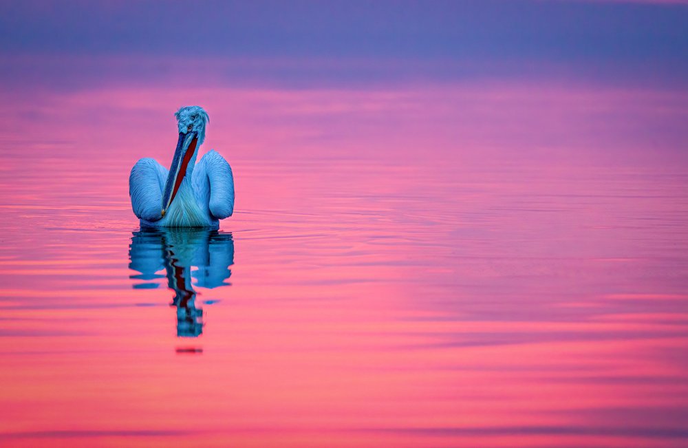 Photograph by Ruzdi Ekenheim