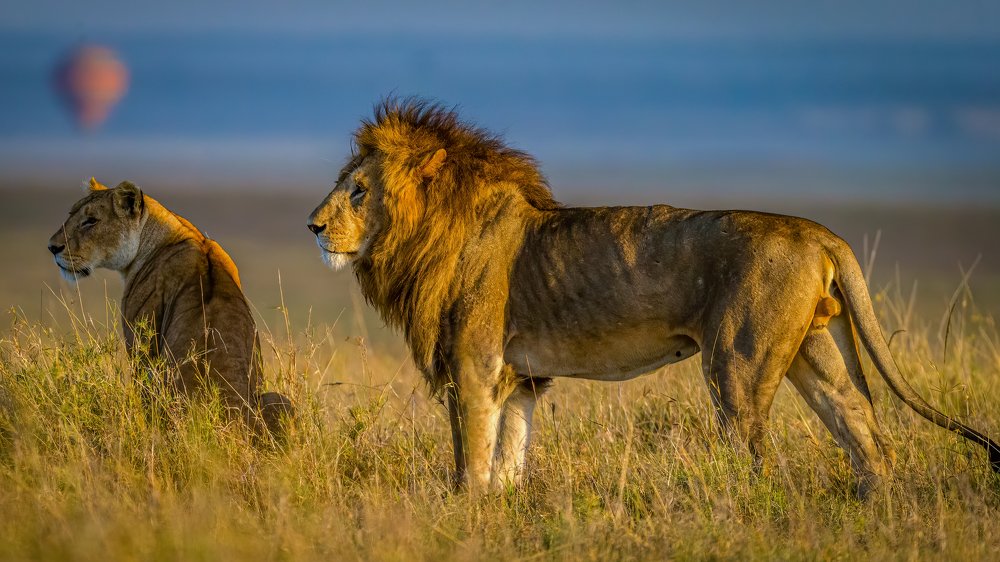 Photograph by Ruzdi Ekenheim