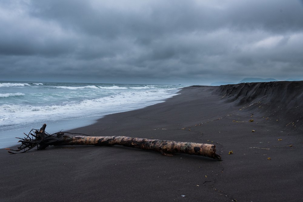 Photograph by Dominik Gugerli