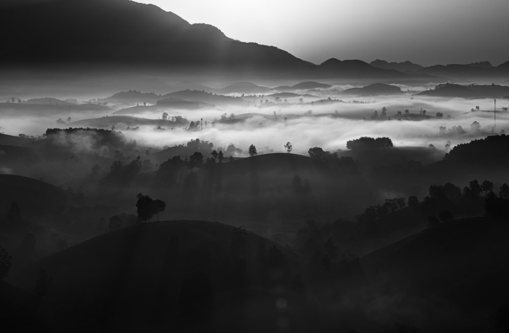 Фотография автора quach nam