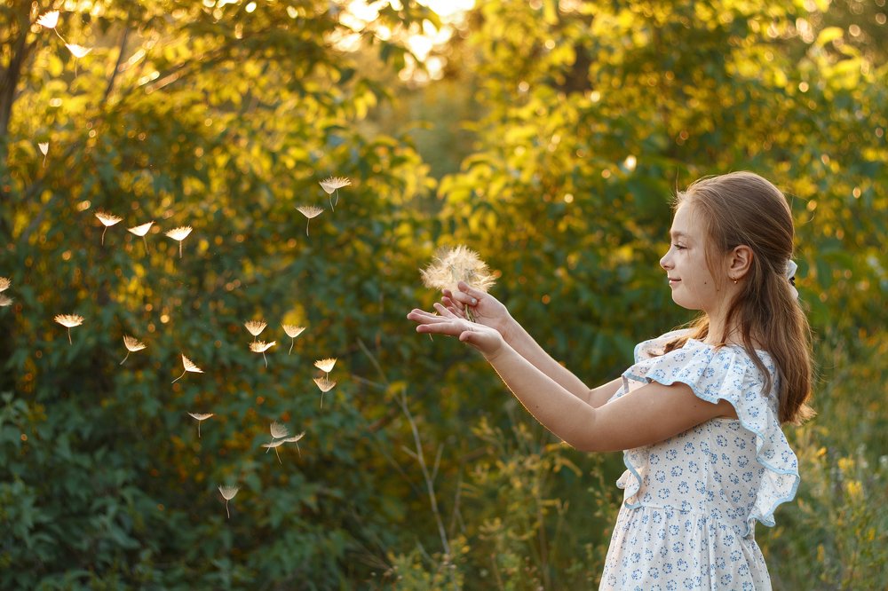 Пушистая история на закате