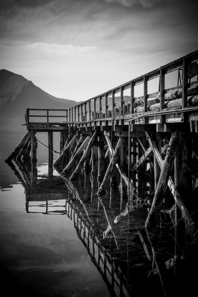 Photograph by Dominik Gugerli