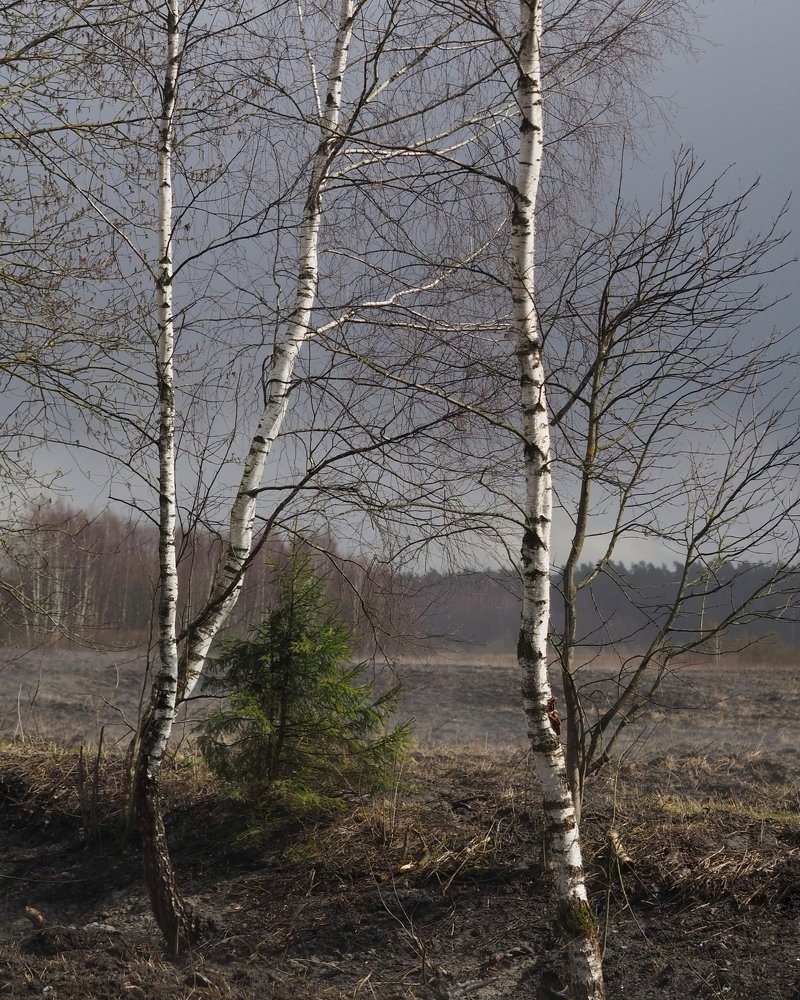 Photograph by Ольга Львова