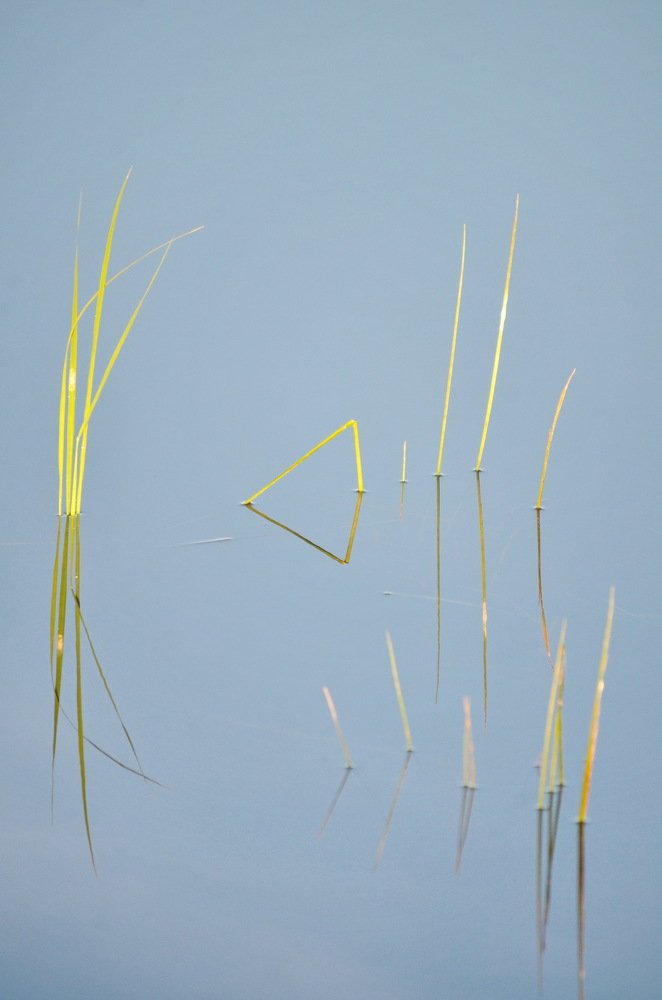 Photograph by Marzio Fattorini