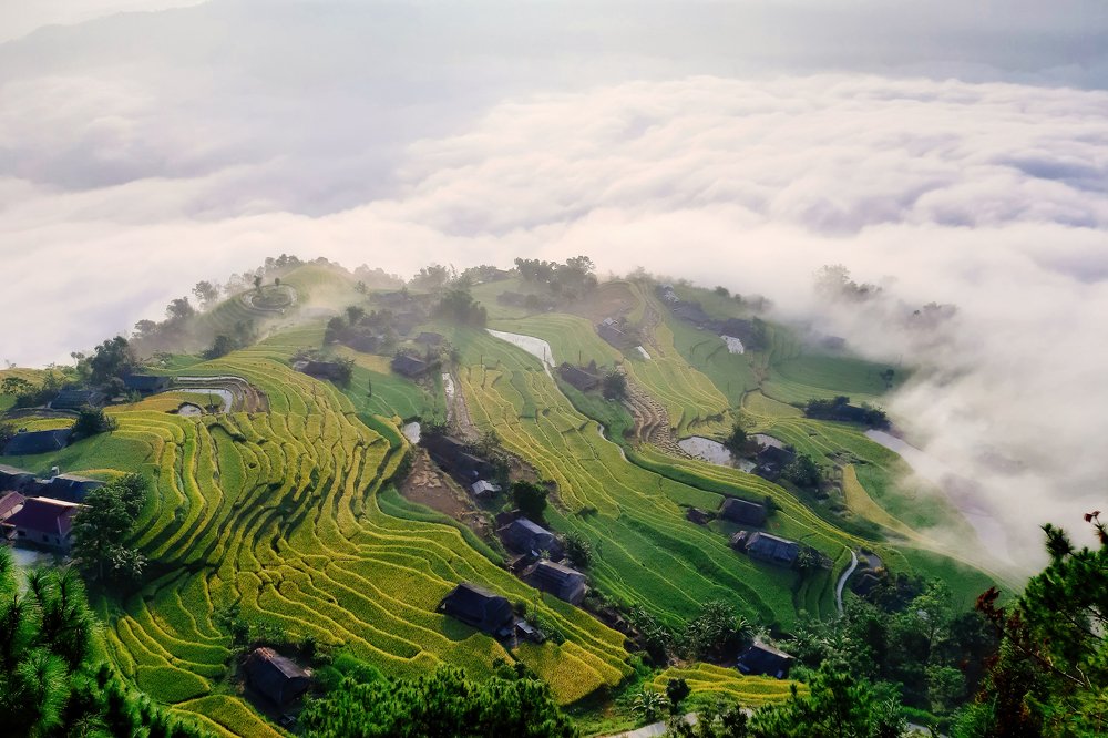 Hidden village in the morning mist