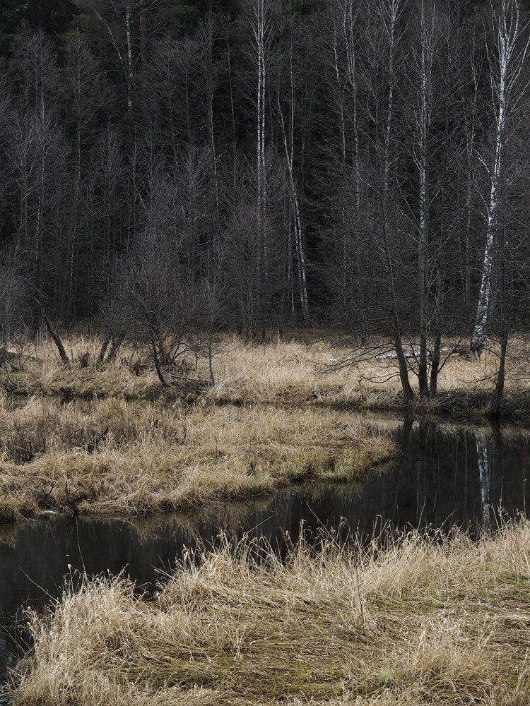 Photograph by Ольга Львова