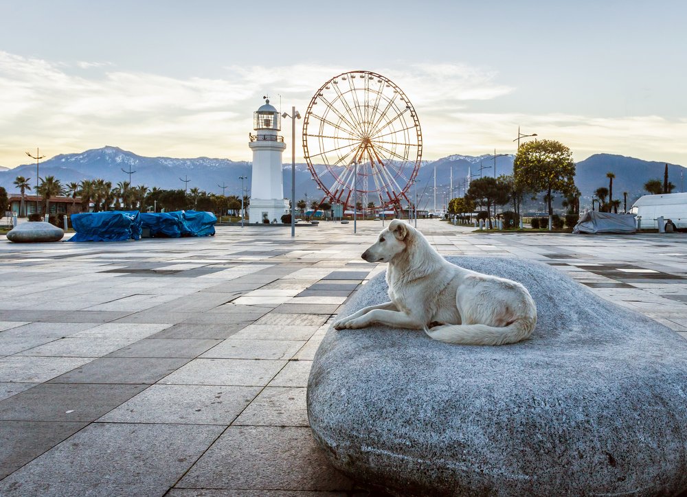 Photograph by Александр Антонов