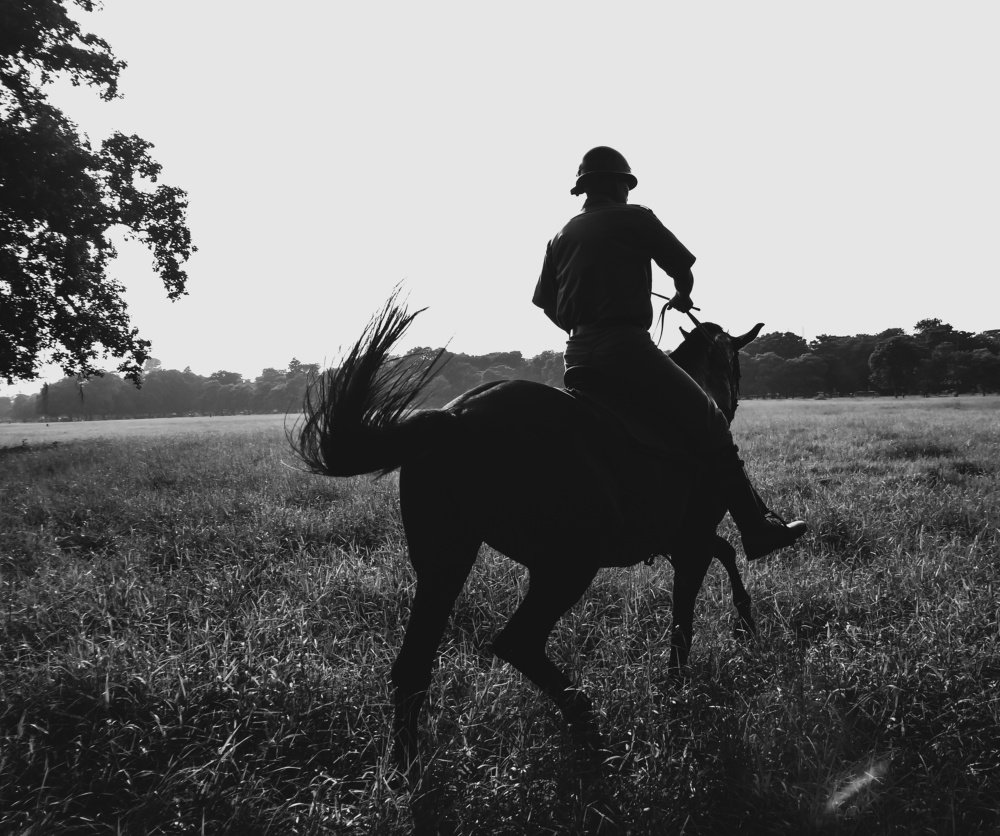 Mounted Police