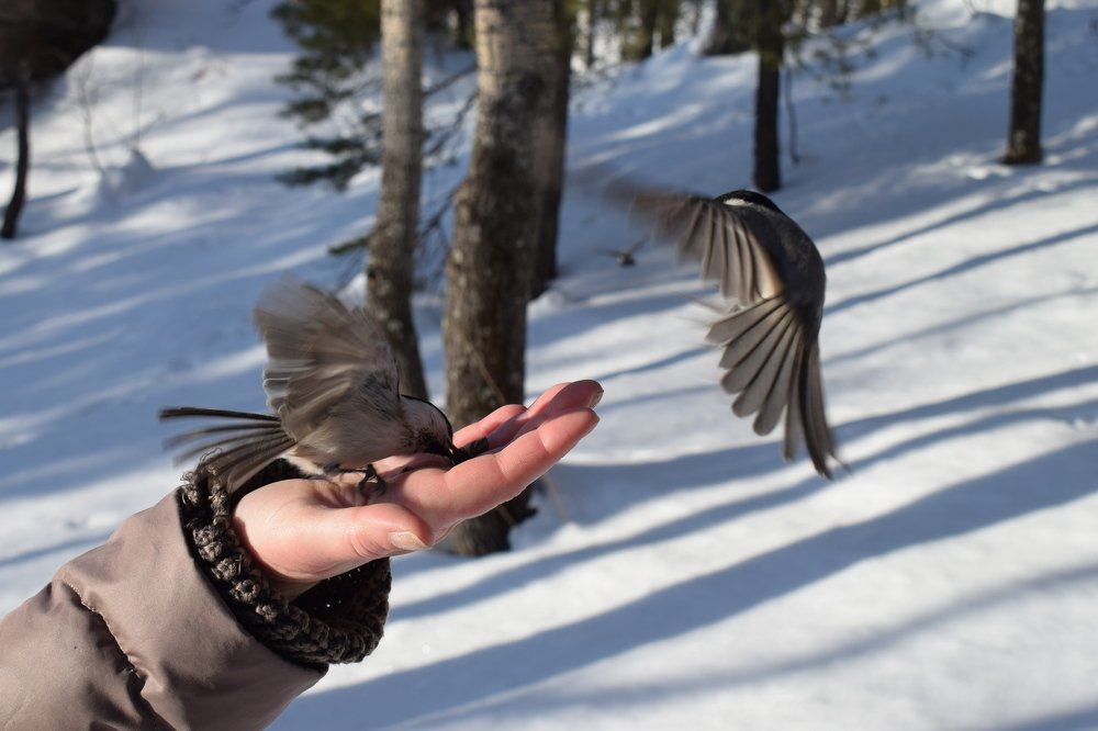 Photograph by Ekaterina