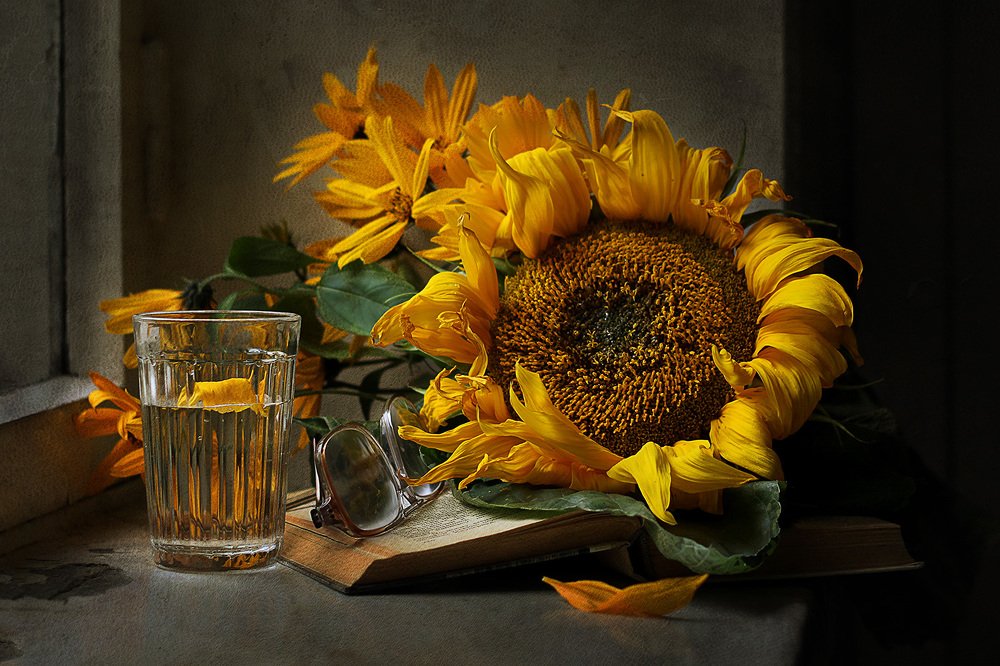 Фотография автора Светлана Дерябина