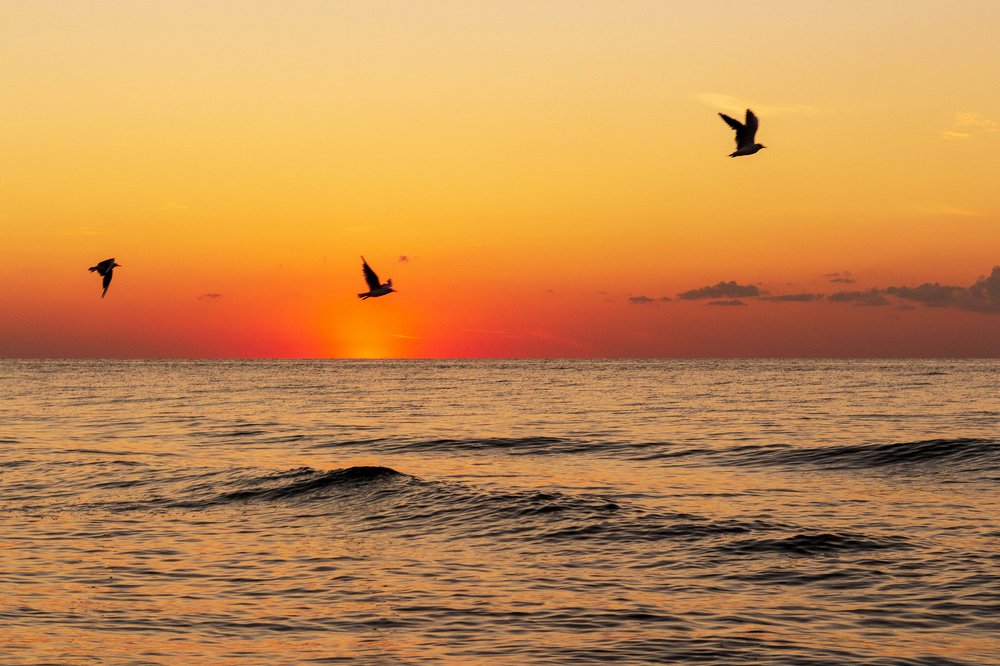 Восход солнца на море