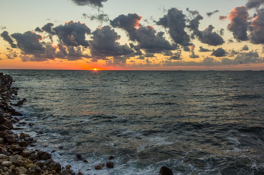 Фотография автора Comșa Bogdan