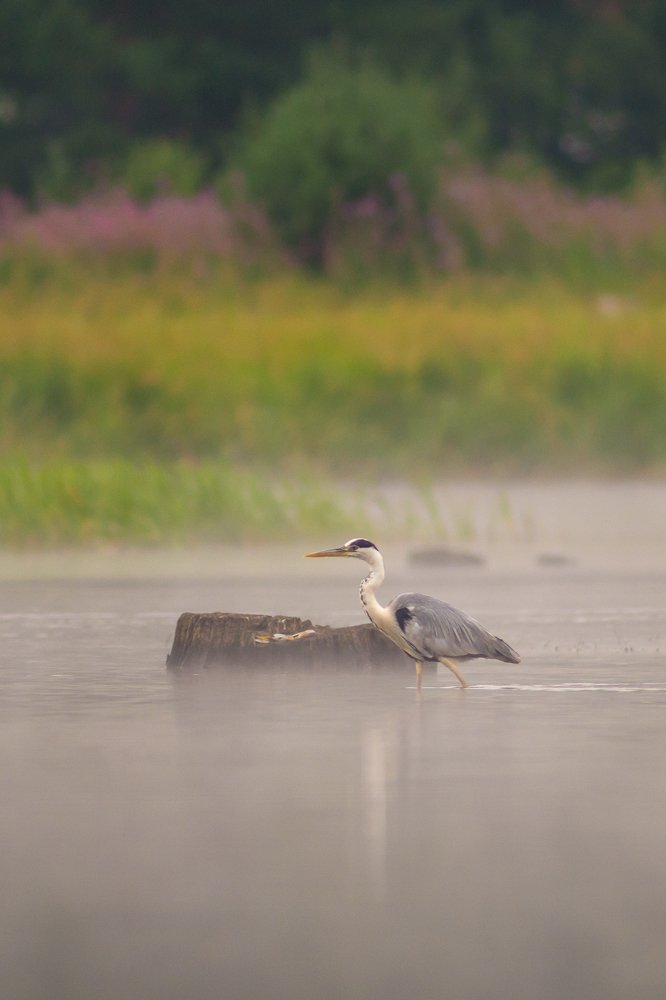 Photograph by Жданов Дмитрий